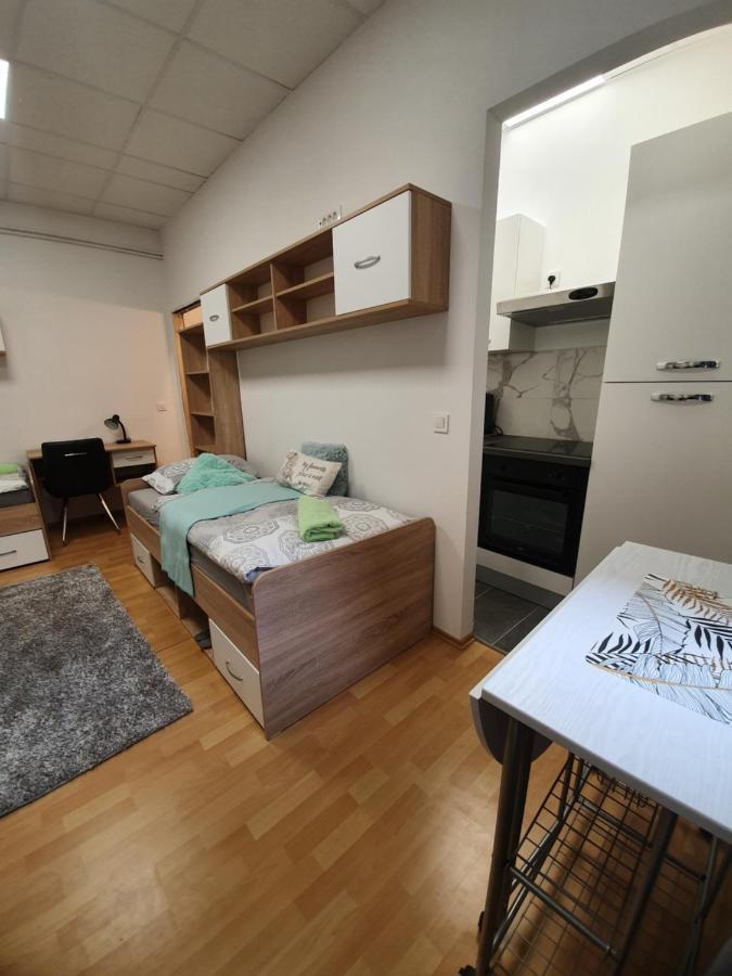 Maribor City Center Minidorm Apartment Luaran gambar